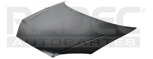 Cofre Ford Focus 2005-2007