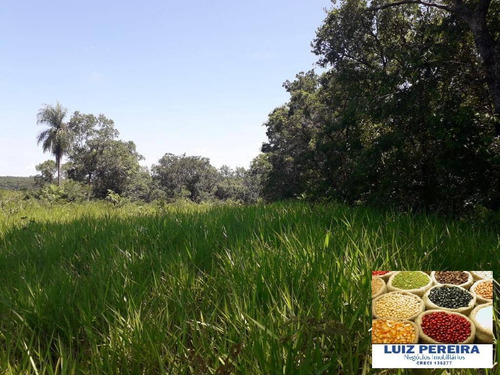 Imagem 5 de 5 de Fazenda À Venda Em Camapuã - Ms - De 415 Hectares (pecuária) - 1701