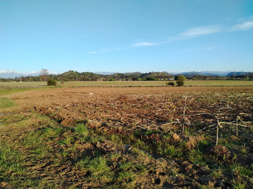 Terreno Agrícola De 33,5 Ha - Campo En Venta, San Clemente