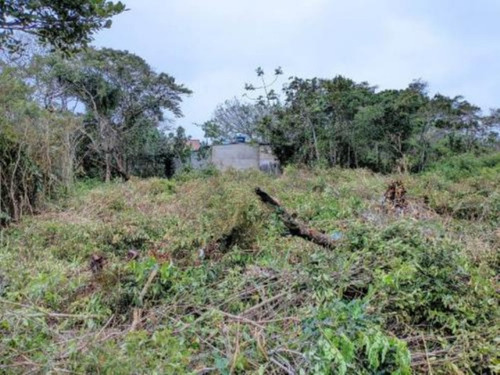 Imagem 1 de 3 de Terreno No Bairro Luizamar Mirim, Em Itanhaém Lote Com 137,5 M² De Área Total.