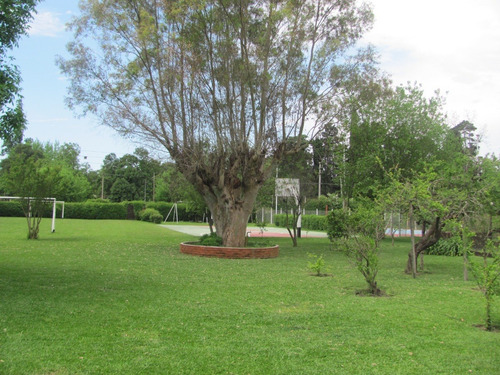 Imagen 2 de 18 de Hermosa Casa Quinta En Ezeiza, Carlos Spegazzini. Ideal Para Disfrutar Con Familia Y Amigos!