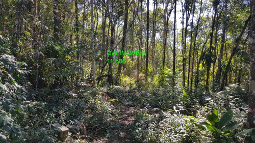 Imagem 18 de 19 de Juquitiba/terreno Com Mata E Nascente. - 05000 - 68089597