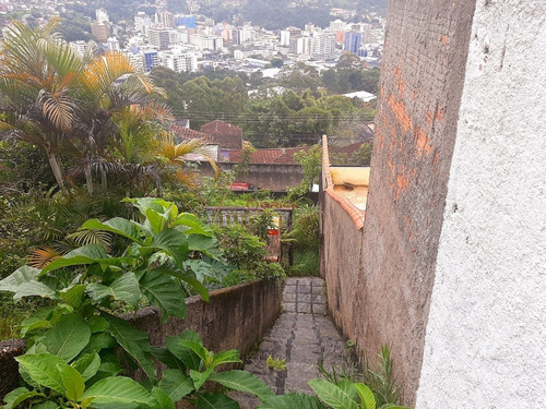 Imagem 3 de 8 de Terreno Com 300 M² Na Fazendinha - Teresópolis/rj. - Te00474 - 70812801