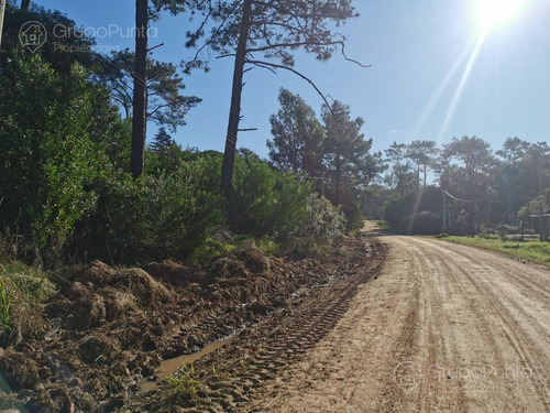 Terrenos en venta - Ocean Park