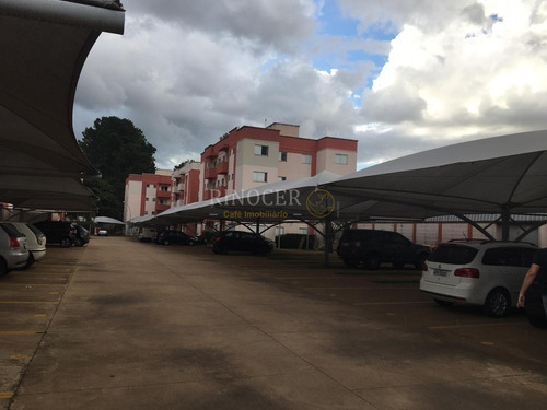Imagem 9 de 11 de Apartamento Padrão Em Franca - Sp - Ap0604_rncr