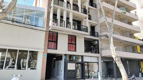 Imagen 2 de 15 de Venta Monoambiente Pileta Lourdes