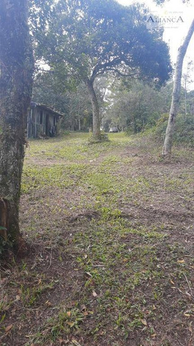 Terreno À Venda, 4868 M² Por R$ 400.000,00 - Parque Das Garças - Santo André/sp - Te0094