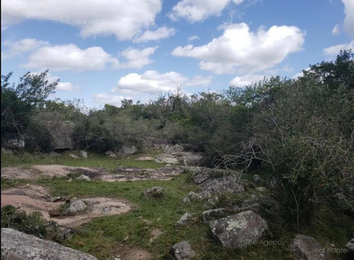 Imagen 10 de 15 de Campo Ganadero En San Jose De 126 Ha, Sierra De Mahoma, Ganadero
