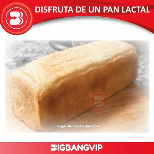 Molde Pan Lactal Sin Tapa 26x10 cm Doña Clara