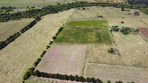 Imagen 14 de 20 de Chacras Financiadas En Pan De Azúcar. Terra Oliva