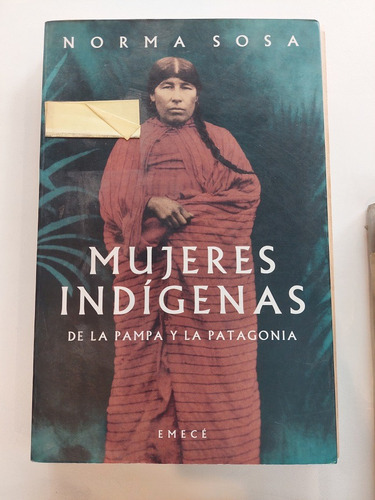 Mujeres Indígenas De La Pampa Y La Patagonia - Norma Sosa 