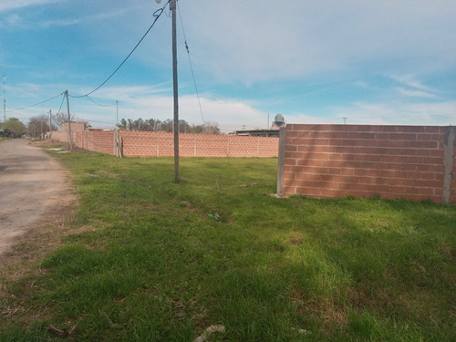 Imagen 2 de 6 de Lote De 618 M2