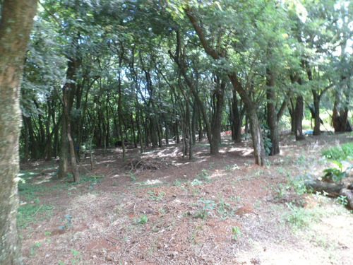 Imagem 8 de 29 de Sítio Com 2 Dormitórios À Venda, 24200 M² Por R$ 1.100.000,00 - Cardeal - Elias Fausto/sp - Si0004