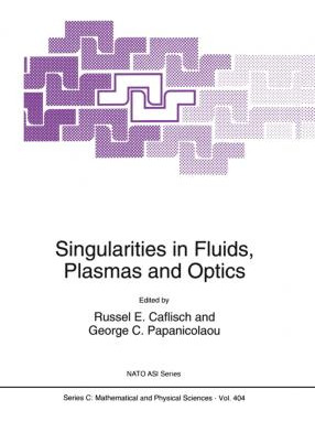 Libro Singularities In Fluids, Plasmas And Optics - Russe...