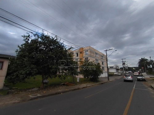 Imagem 3 de 5 de Terreno - Michel - Ref: 33290 - V-33287
