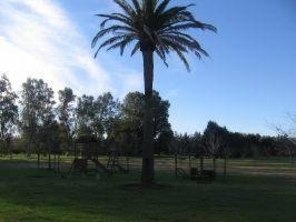 Imagen 3 de 4 de Terreno - Villa Adriana