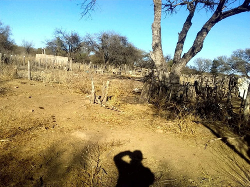 Campo De 593 Has En Puerto Alegre, San Luis