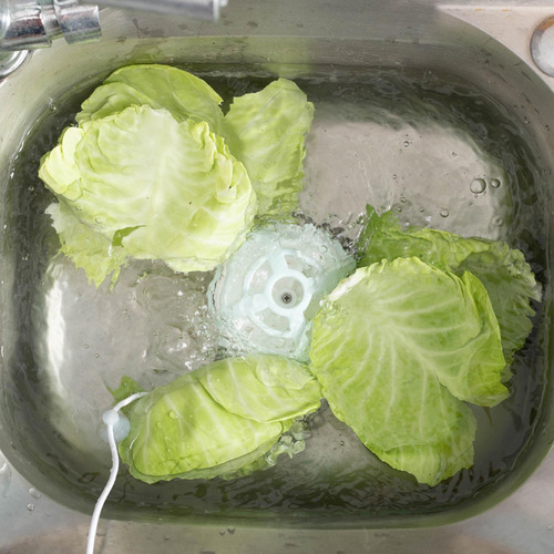 Lavadora De Frutas Y Verduras Pequeña Eléctrica Para Azul