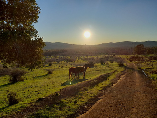 Terrenos En Cura-cura Retiro/parral