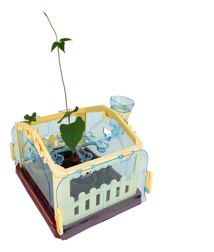 Mi Jardin Botanico Mi Alegria Laboratorio Juegos De Quimica