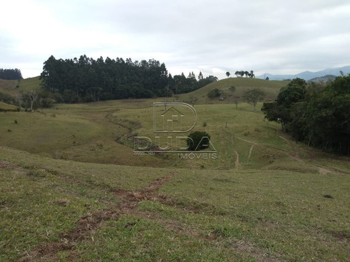 Imagem 2 de 15 de Sitio - Fazenda Rio Das Garcas - Ref: 32161 - V-32158