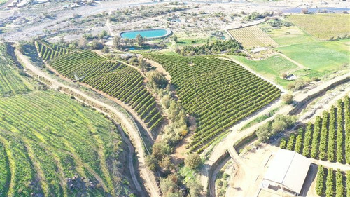 Imagen 9 de 15 de Agrícola En Venta En Monte Patria