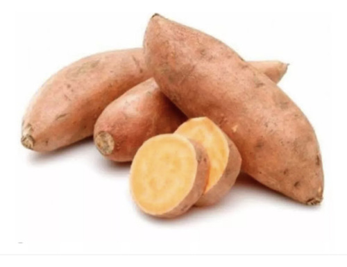 Rizomas Batata Yacon 1 Kilo 1kg Iacon Oferta Mudas Excelente