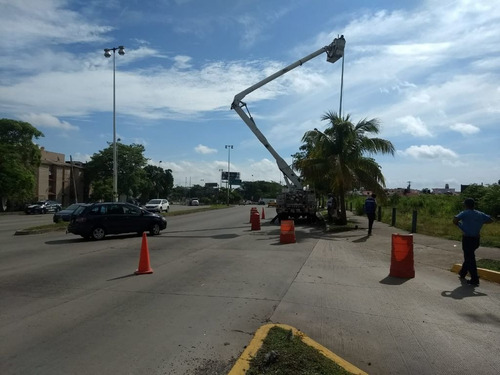 Imagen 3 de 8 de Renta De Grúas Con Canastilla - Articuladas Y Telescópicas