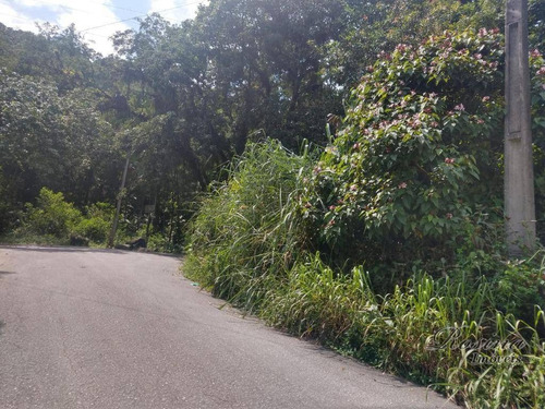 Imagem 9 de 20 de Terrenos A Venda No Barro Barro Branco A Partir De 55 Mil-negociáveis - Te0120