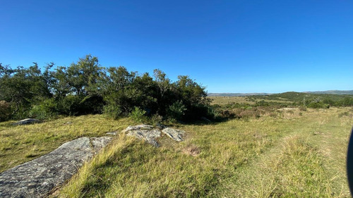 Imagen 14 de 30 de Se Vende Campo De 77 Has En Maldonado. A Pocos Km De Aiguá En Zona De Ruta 39. Ubicación Privilegiada!