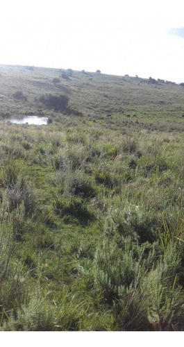 Campo En Venta En Lavalleja, 15 Hectáreas