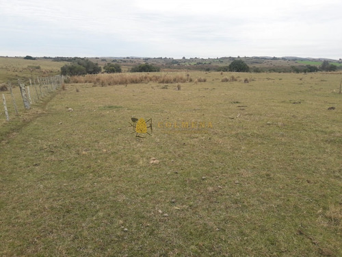 Campo 7 Has En Garzon - Consulte!!!!!!!!- Ref: 2110