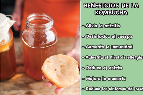 Imagen 2 de 5 de Hongo Scoby Para Preparar Kombucha