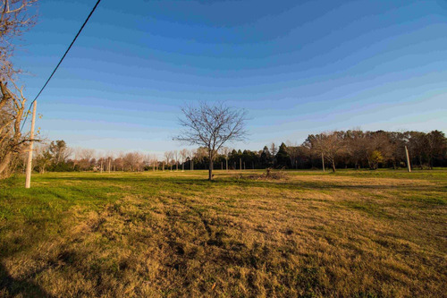 Imagen 7 de 11 de Lotes De Santo Domingo - Loma Verde