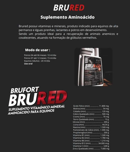 Brufort Brured Cavalo Equino Anemia Recuperação Saúde