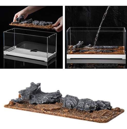 Decoración De Paisajismo De Peces, Accesorios De De Xuanwu