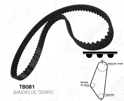 Banda Tiempo Dist Pontiac J2000 Sunbird 1.8l 1984-1985