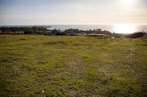 Vista Horizonte Punta De Lobos