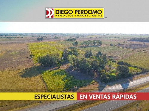 Predio De 90.000 M² En Venta, Ruta Nº 1, Km 66