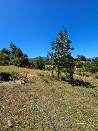 Parcela En Venta En Licanray - Panguipulli
