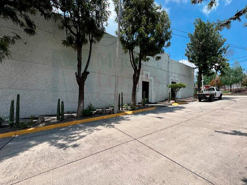 Oficina En Renta Los Paraisos, Leon Gto 400 M2