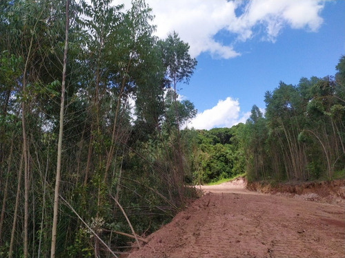 Imagem 7 de 19 de Tm- Lotes Promocionais A Venda, Troco Por Veículo