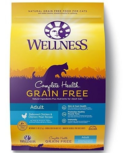 Wellness Complete Health Natural Grain Free Comida Seca Para
