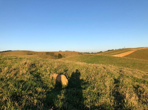 Imagem 20 de 30 de C06-lotes Para Você De Mairiporã