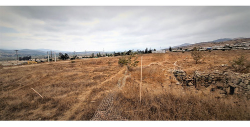 En Venta Terreno Plano, Comercial, De 8.057 M2., En Tabolan