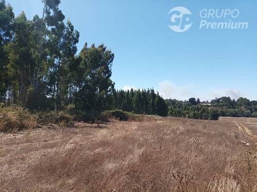 Imagen 13 de 17 de Terreno Agrícola En Venta En Victoria
