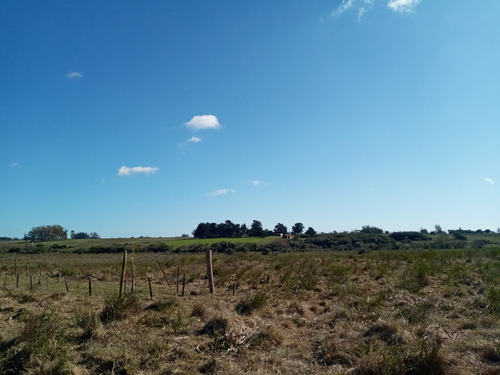 Venta Fraccion Rural 52 Hectareas En Rincon De Jose Ignacio (ref: Atm-6281)