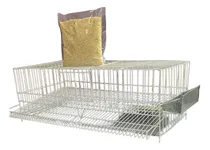 Comprar Jaula Para Codornices 65 X 30 X 20  + 1kg Alimento Premium