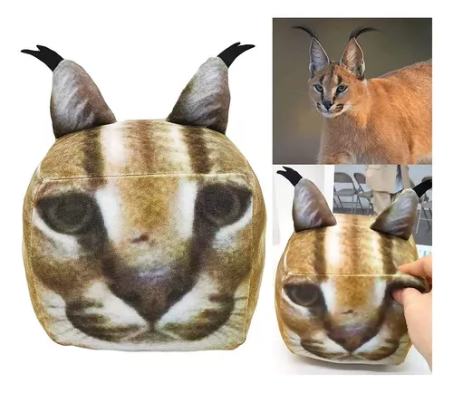 Crie Uma Floppa, Caracal Floppa