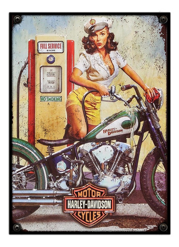 #119 - Cuadro Vintage 21 X 29 Cm / Harley Davidson!